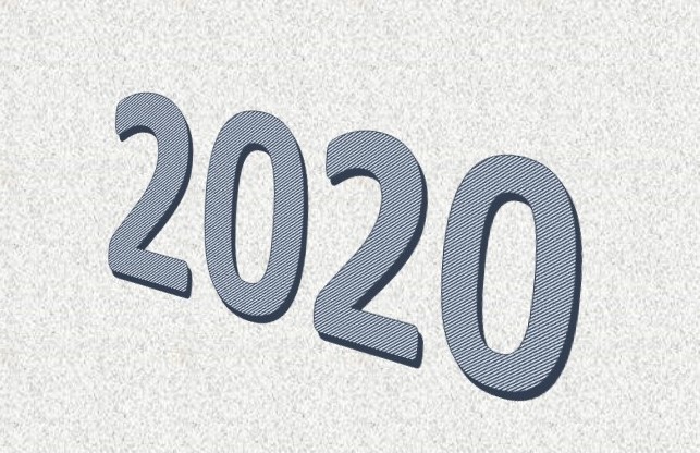 ANCR Reviews Lessons & Accomplishments from 2020